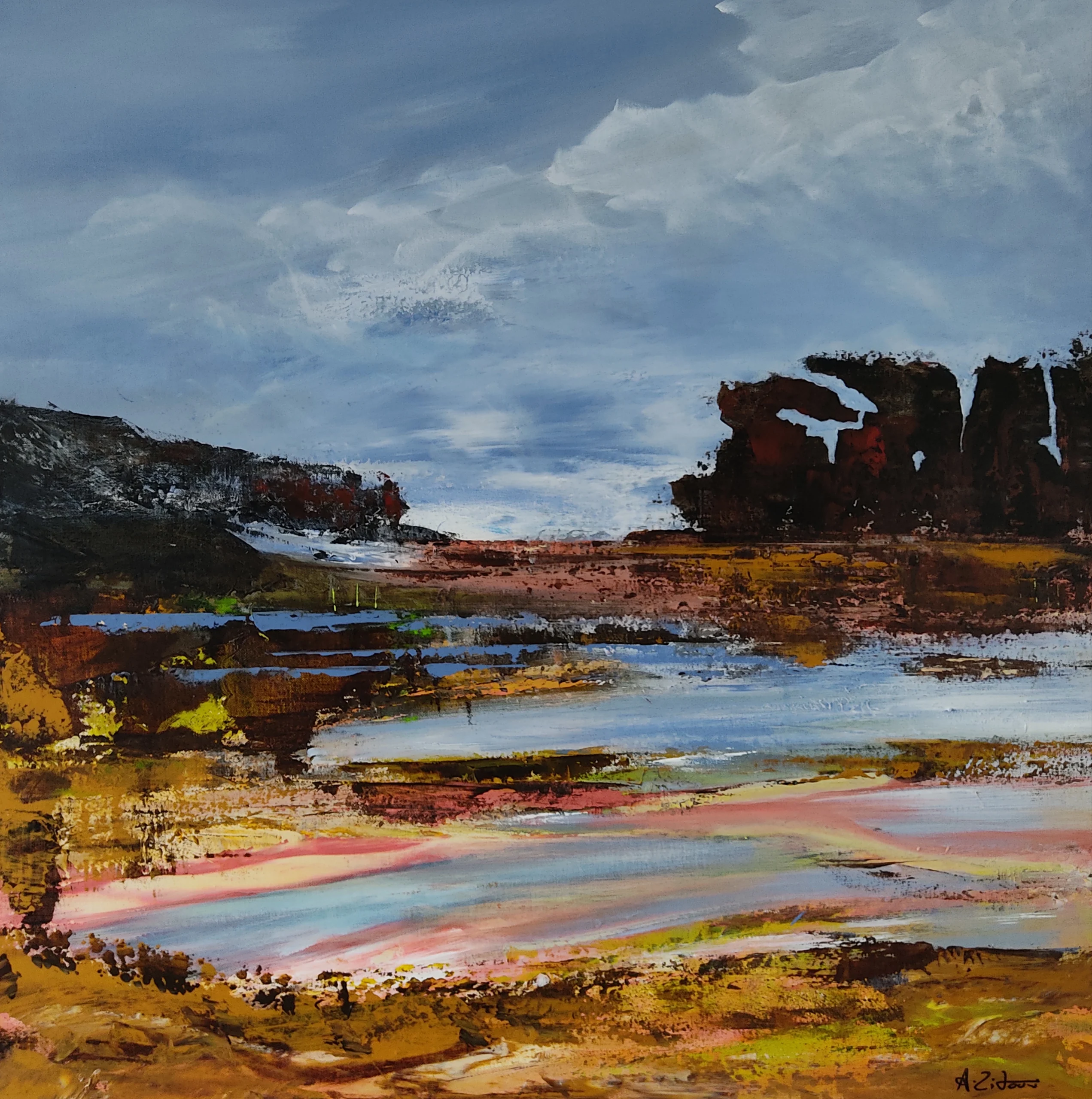 Canyon #1 Acrylique sur toile 90 x 90cm Canyon #1 Acrylique sur toile 90 x 90cm